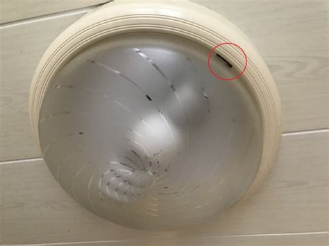 水晶位置 浴室圓形燈罩怎麼拆